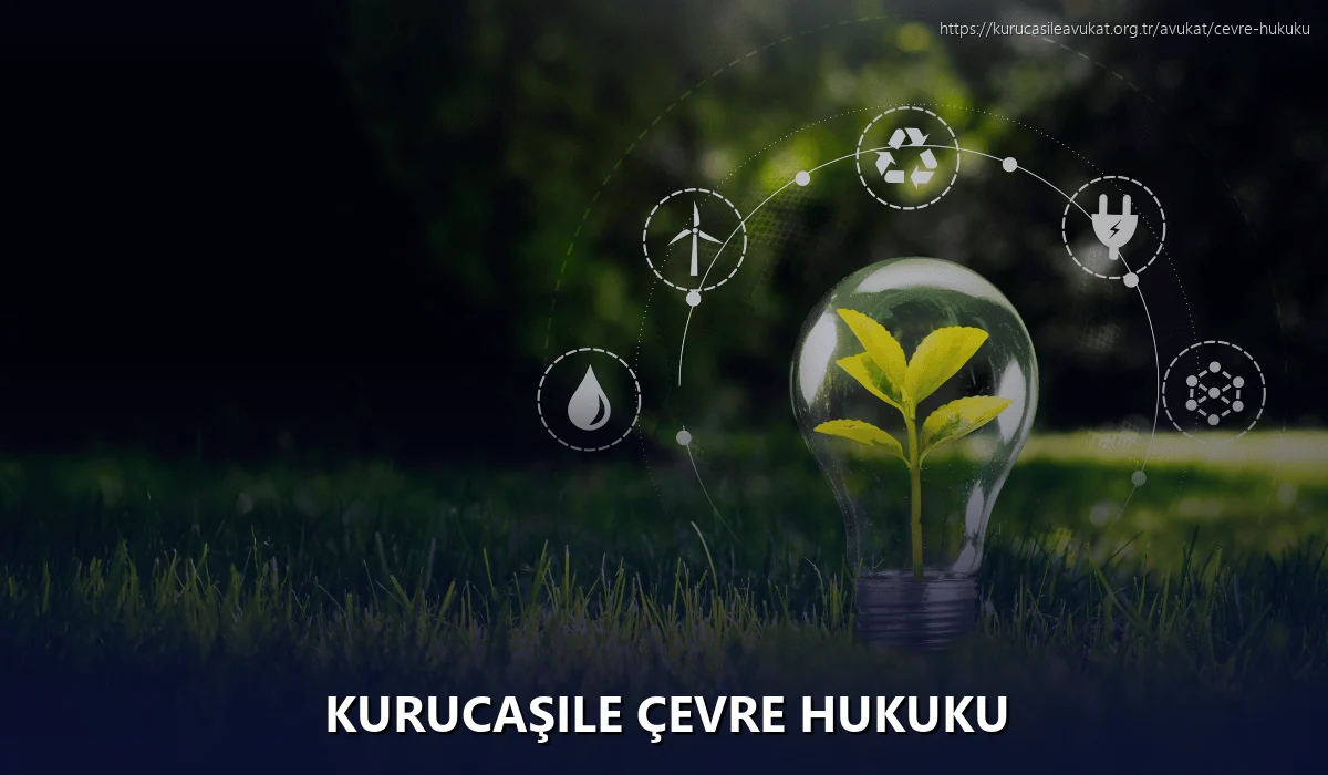 Kurucaşile Çevre Hukuku